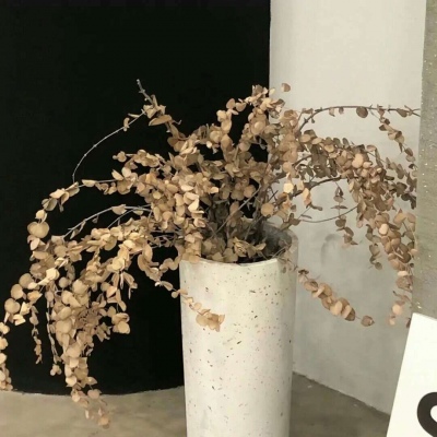 Furry插画元素搭配福瑞交流群